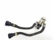 Kraftstoff-Injector 11788580210 BMW 5 serie (G30) Limousine 530d xDrive 3.0 TwinPower Turbo 24V (B57-D30A)