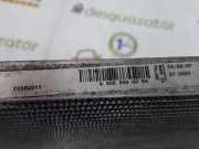 Luft-Kühler A9065000054 Volkswagen Crafter Van 2.5 TDI 30/32/35/46/50 (BJL) 2007 BJL