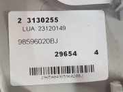 Innenbeleuchtung 98596020BJ Toyota ProAce Van 1.5 D-4D 100 16V (5WZTV(DV5RUCd))