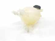 Ausgleichbehälter 9800777280 Citroën C3 (SX/SW) Schrägheck 1.6 Blue HDi 75 16V (DV6FE(BHW)) 2017