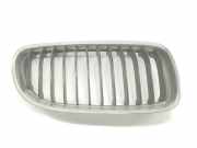 Grill 51137201968 BMW 3 serie Touring (E91) Kombi 318d 16V (N47-D20C) 2008