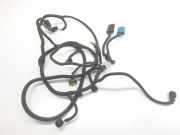 Kabelbaum PDC 9678224080 Citroën DS5 (KD/KF) Schrägheck 5-drs 2.0 HDi 16V 200 Hybrid4 (DW10CTED4(RHC))