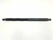 Gasdruckfeder Hinten 51247497482 BMW SERIE G01 sDrive18d 2017