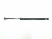 Gasdruckfeder Hinten 51247060623 BMW 3 serie (E90) Limousine 320d 16V (N47-D20A) 2007
