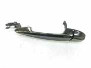 Türgriff Außen Links Hinten 51217433843 BMW X6 (F16) SUV xDrive30d 3.0 24V (N57-D30A) 2014