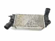 Ladeluftkühler L1BG6D624AB Ford Tourneo Großraumlimousine 1.0 12V Ecoboost (B7JB)