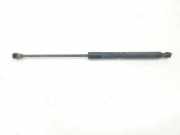 Gasdruckfeder Set Vorne 654707606R Renault Megane IV (RFBB) Schrägheck 5-drs 1.2 Energy TCE 130 (H5F-408) 2016
