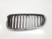Grill 51137294813 BMW 4 serie (F32) Coupé 420d 2.0 16V (N47-D20C) 2013
