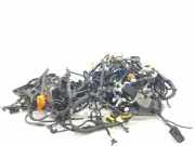 Kabel INSTALACION Hyundai i30 (PDEB5/PDEBB/PDEBD/PDEBE) Schrägheck 1.5 T-GDI 16V Hybrid 48V (G4LK) 2023