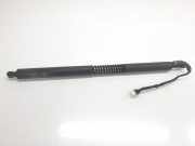 Gasdruckfedern Set Hinten 51247298984 BMW 3 serie Gran Turismo (F34) Schrägheck 318d 2.0 16V (N47-D20C)