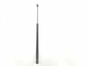 Gasdruckfedern Set Hinten 51247127875 BMW 3 serie Touring (E91) Kombi 330Xd 24V (M57N2-D30(306D3)) 2007