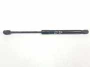 Gasdruckfeder Vorne 4G8823359A Audi A6 (C7) Limousine 3.0 TDI V6 24V Quattro (CDUD) 2014