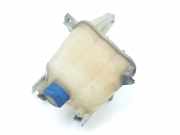 Ausgleichbehälter 1358583080 Fiat Ducato (250) Van 2.3 D 130 Multijet (F1AE3481D) 2013