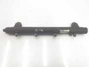 Einspritzdüsen Düsenstock 368DT Land + Range Rover Range Rover III (LM) Geländewagen 3.6 TDV8 32V (368DT) 2007
