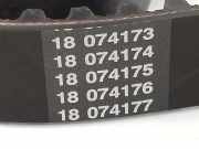 Steuerriemen SET 0831V3 Citroën CITROEN BERLINA 2.0 HDi X 2002