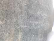 Innenkotfl?gel 5NA810971C Volkswagen Tiguan (AD1) SUV 1.5 TSI 16V Evo BlueMotion Technology (DADA) 2019 DADA