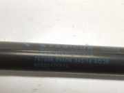 Gasdruckfedern Set Hinten 52017651 Jeep Renegade (BU) SUV 2.0 Mutlijet 140 16V 4x4 (55263087) 2015