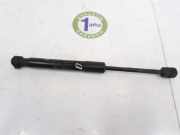 Gasdruckfeder Vorne 51238059044 BMW M4 (F82) Coupé M4 3.0 24V TwinPower Turbo (S55-B30A) 2014