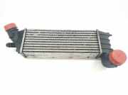 Ladeluftkühler 1489396080 Citroën CITROEN 2.2 HDi FAP (128 CV) 2002