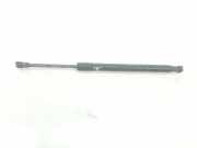 Gasdruckfeder Hinten 51247129194 BMW 3 serie (E92) Coupé 320i 16V (N43-B20A) 2007