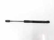 Gasdruckfeder Hinten 51237309117 BMW 5 serie (F10) Limousine 520d 16V (B47-D20A) 2016