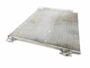Klima Radiator 921009251R Renault Zen
