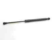 Gasdruckfeder Set Vorne 41612990344 BMW X1 (E84) SUV xDrive 18d 2.0 16V (N47-D20C)