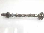 Nockenwelle 059109021EE Audi A6 (C6) Limousine 3.0 TDI V6 24V Quattro (BMK) 2005