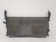 Radiator 1383317 Ford Transit Van 2.2 TDCi 16V (QVFA) 2006
