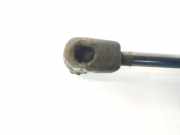 Gasdruckfeder Hinten 24463829 Opel Astra H (L48) Schrägheck 5-drs 1.9 CDTi 120 (Z19DT) 2007