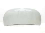 Motorhaube 651224338R Renault L1H1 29t Komfort