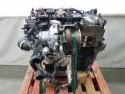 Motor COMPLEET DNPA Volkswagen Golf VIII (CD1) Schrägheck 2.0 GTI 16V (DNPA) 2021 DNPA