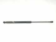 Gasdruckfedern Set Hinten 51247239871 BMW 1 serie (F20) Schrägheck 5-drs 118d 2.0 16V (N47-D20C) 2012