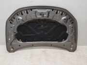 Motorhaube 651006924R Renault II TECHNO