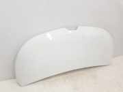 Motorhaube 651224338R Renault L1H1 29t Komfort