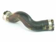 Turbo Leitung 11618513848 BMW 1 serie (F20) Schrägheck 5-drs 116d 1.5 12V TwinPower (B37-D15A)