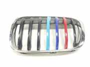 Grill Gitter Links 7354823 BMW X1 (F48) SUV sDrive 18d 2.0 16V (B47-C20B)