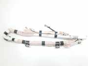 Vorhang Airbag Rechts VOOR R2X6R042D94AE Ford Tourneo Großraumlimousine 1.0 12V Ecoboost (B7JB)