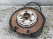 Achsschenkel Links Hinten F653131L BMW 3 serie Touring (F31) Kombi 320d 2.0 16V (N47-D20C) 2012