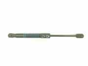 Gasdruckfeder Vorne 51237255812 BMW 3 serie Touring (F31) Kombi 320d 2.0 16V (N47-D20C) 2012