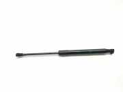 Gasdruckfeder Set Vorne 51232990344 BMW X1 (E84) SUV xDrive 18d 2.0 16V (N47-D20C) 2014