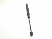 Gasdruckfeder Set Vorne A2139800164 Mercedes-Benz C (W205) Limousine C-180d 1.6 Turbo 16V (OM654.916)