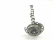 Nockenwelle 11318664036 BMW 3 serie (G20) Limousine 330i 2.0 TwinPower Turbo 16V (B48-B20B) 2018