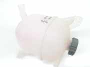 Ausgleichbehälter 25430P000 Hyundai Tucson (NX) SUV 1.6 T-GDI HEV (G4FT) 2023