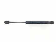 Gasdruckfeder Set Vorne 51237239233 BMW 4 serie (F32) Coupé 435d xDrive 3.0 24V (N57-D30B) 2013