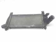 Ladeluftkühler 14461EB360 Nissan Navara (D40) Pick-up 2.5 dCi 16V 4x4 (YD25DDTi)