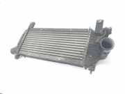 Ladeluftkühler 14461EB360 Nissan Navara (D40) Pick-up 2.5 dCi 16V 4x4 (YD25DDTi)
