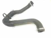 Turbo Leitung 9806788380 Citroën Jumpy Van 1.6 Blue HDi 95 (DV6FDU(BHV)) 2020