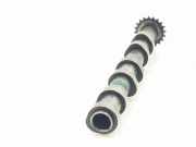 Nockenwelle 4R8Q6A271AB Land + Range Rover Range Rover Sport (LS) Geländewagen 2.7 TDV6 24V (276DT)