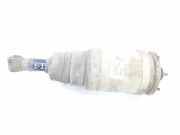 Sto?d?mpfer Links Hinten RPD500850 Land + Range Rover Range Rover Sport (LS) Gel?ndewagen 3.6 TDV8 32V (368DT) 2007